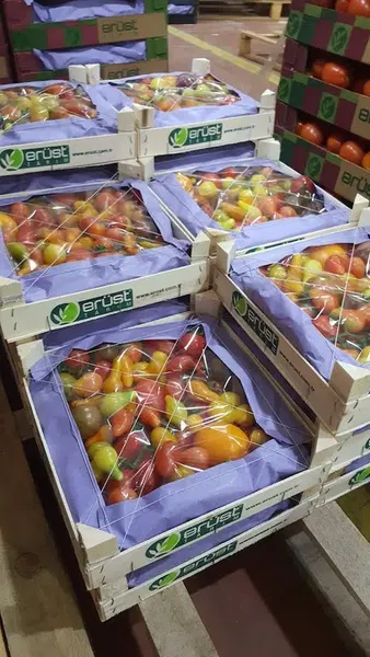 Erüst Agriculture - Photo 1