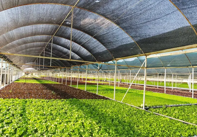 Erüst Agriculture - Photo 3