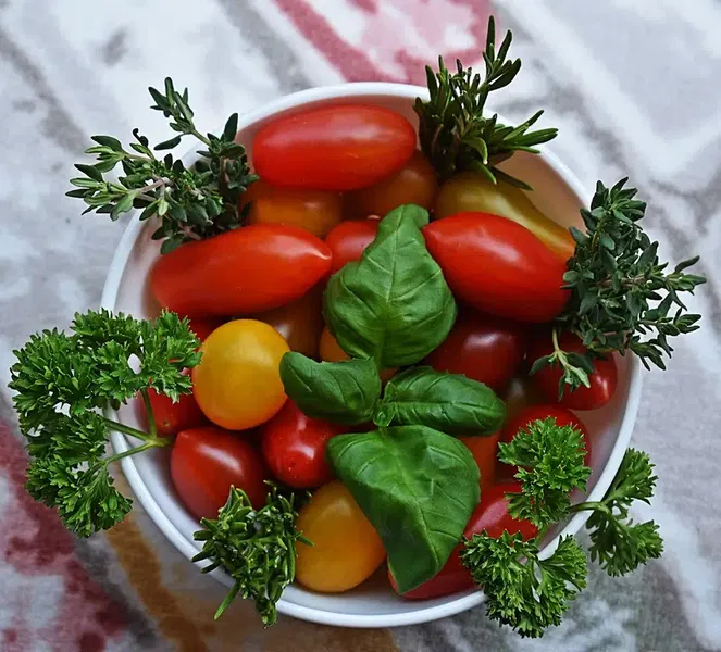 Erüst Agriculture - Photo 9