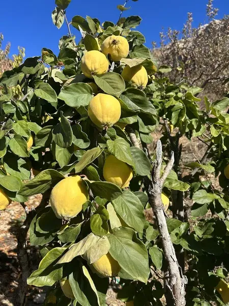 Esentepe parkı - Photo 3