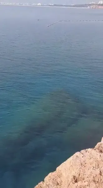Eski klüp plajı - Photo 8