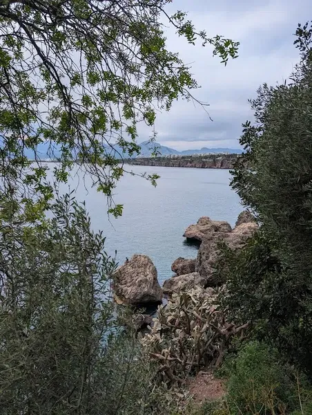 Eski klüp plajı - Photo 10