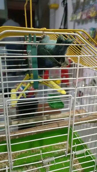 Eva petshop - Photo 2