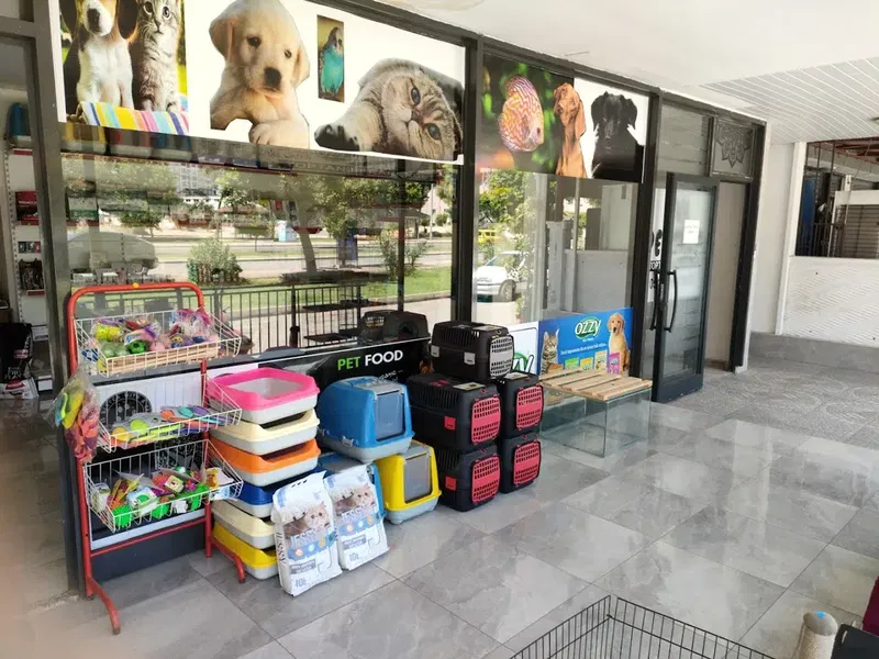 Eva petshop - Photo 5