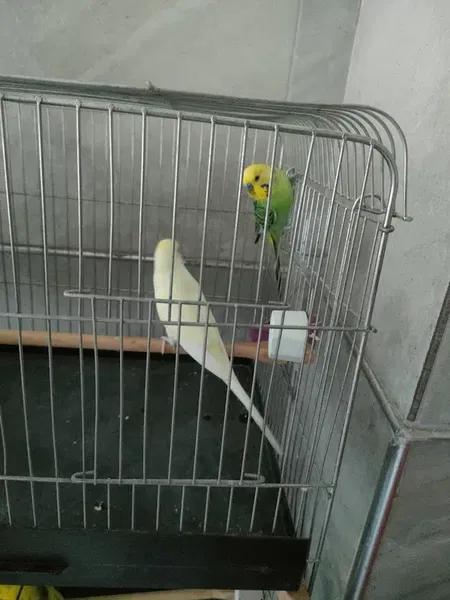 Eva petshop - Photo 8