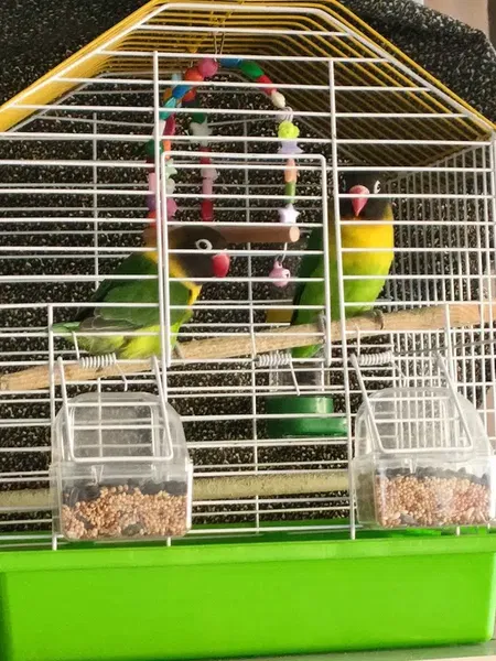 Eva petshop - Photo 9