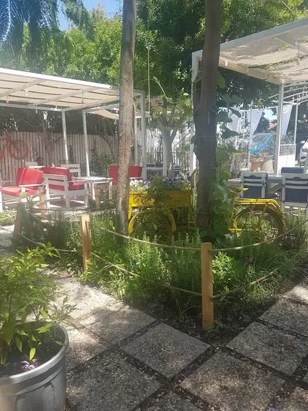Eylülün bahçesi - Photo 4