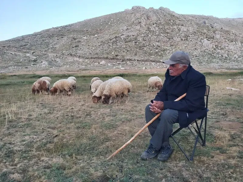 Eğrice Yaylası - Photo 3