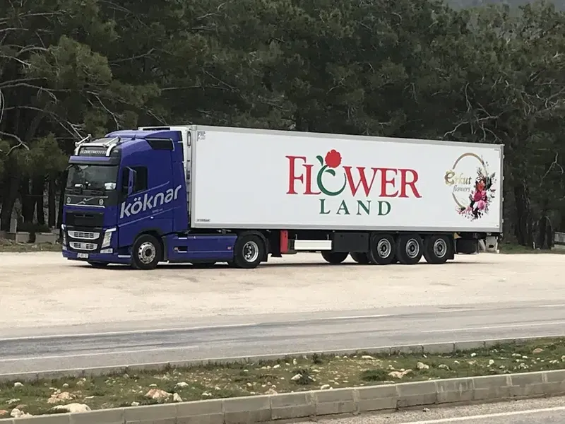 Fami̇ly Flowers Tarim Ltd Şti̇ - Photo 4