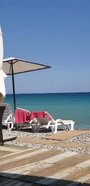 Famous Beach Club - Photo 4