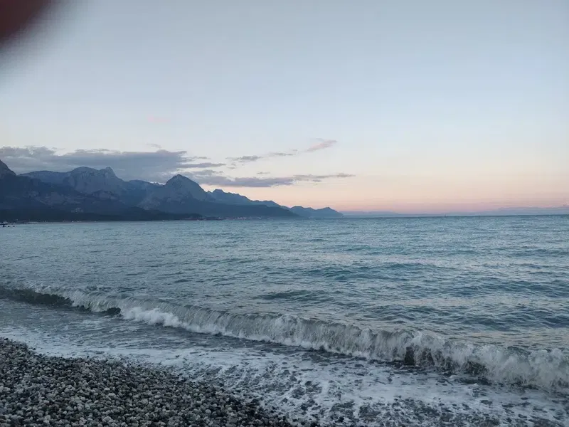 Famous Beach Club - Photo 5