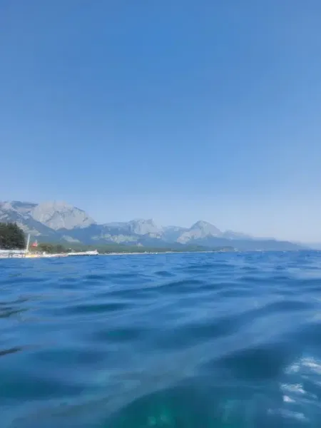 Famous Beach Club - Photo 7