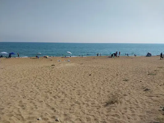 Fedora'S Beach Park