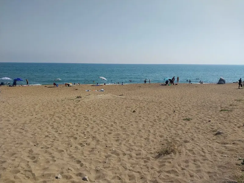 Fedora'S Beach Park - Photo 1