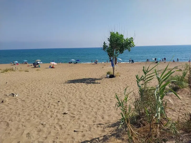 Fedora'S Beach Park - Photo 7