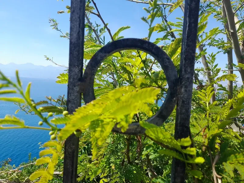 Fener Mahallesi Muhtarlığı - Photo 3