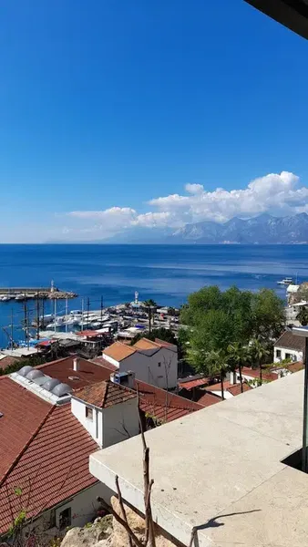 Fener Mahallesi Muhtarlığı - Photo 6