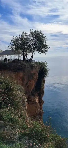 Fener Mahallesi Muhtarlığı - Photo 7