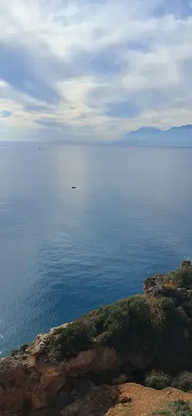 Fener Mahallesi Muhtarlığı - Photo 9