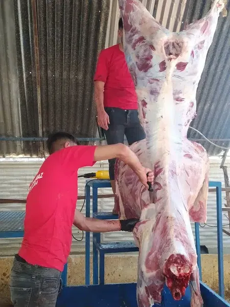 Fermali̇ Yilmaz Besi̇çi̇fli̇gi̇ - Photo 2