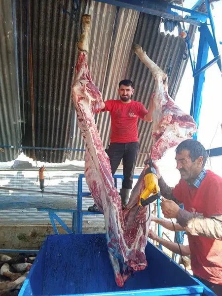 Fermali̇ Yilmaz Besi̇çi̇fli̇gi̇ - Photo 3