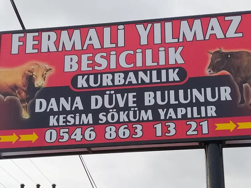 Fermali̇ Yilmaz Besi̇çi̇fli̇gi̇ - Photo 4