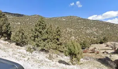 Fethiye Seki