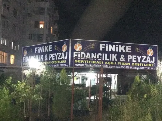Fi̇ni̇ke Fi̇dancilik & Peyzaj
