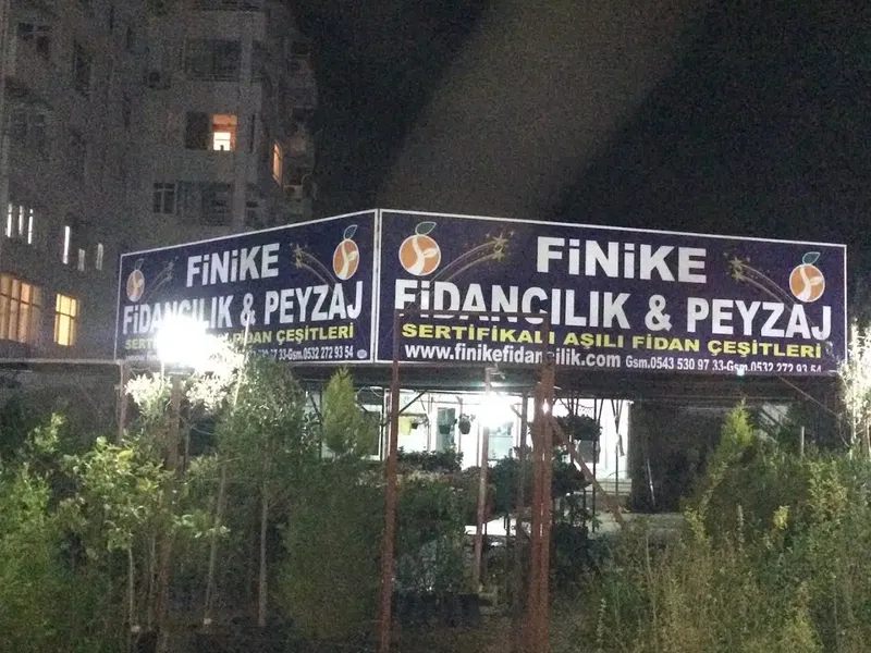Fi̇ni̇ke Fi̇dancilik & Peyzaj - Photo 1