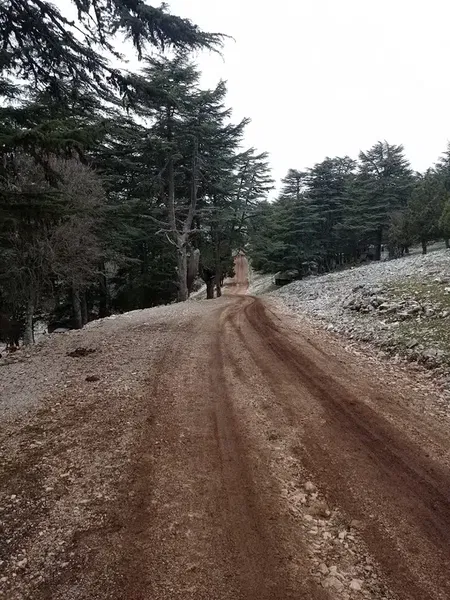 Finike Hava Radar - Photo 9