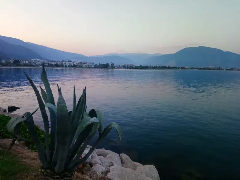 Finike Liman - Photo 3
