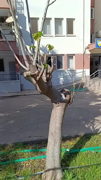 Finike Meteoroloji İstasyon Müdürlüğü - Photo 2