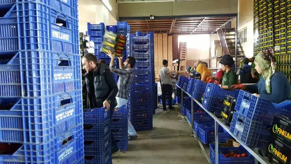 Finkum Tarım Ürünleri
