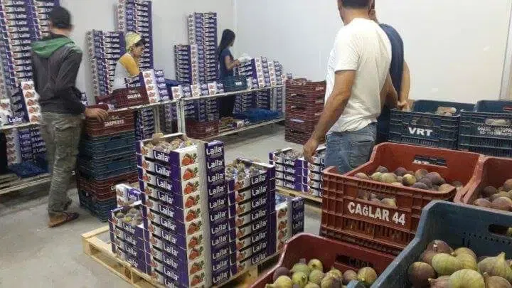 Finkum Tarım Ürünleri - Photo 4