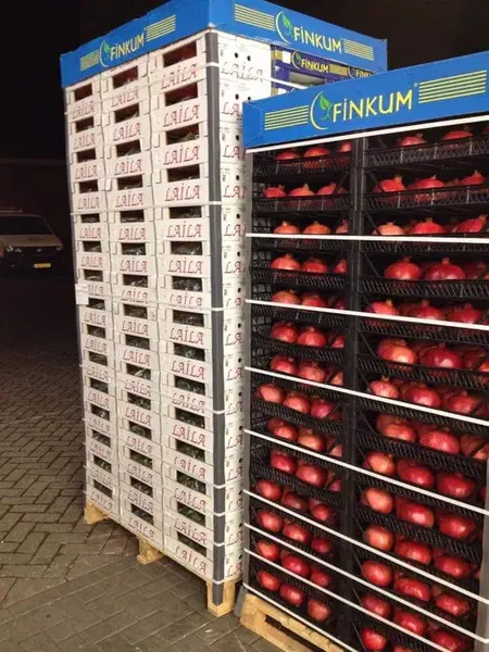 Finkum Tarım Ürünleri - Photo 10