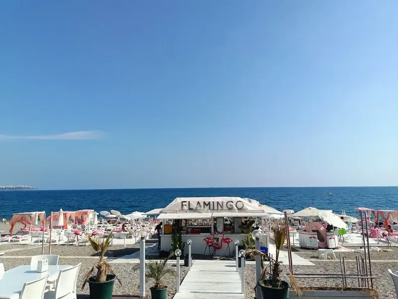 Flamingo Lounge - Photo 4