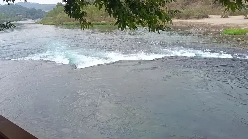 Flamingo Rafting & Restaurant - Photo 2