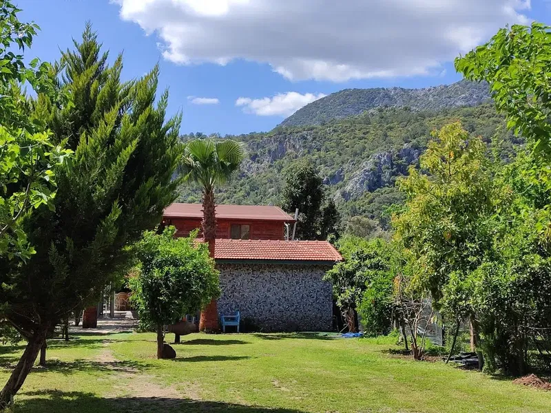 Çıralı Flora Pansion - Photo 4