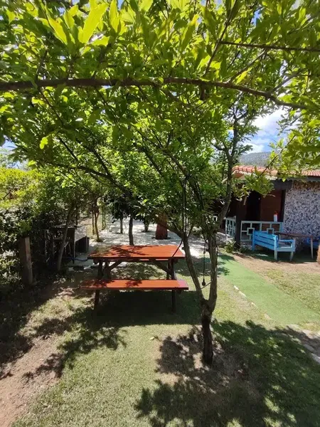 Çıralı Flora Pansion - Photo 5