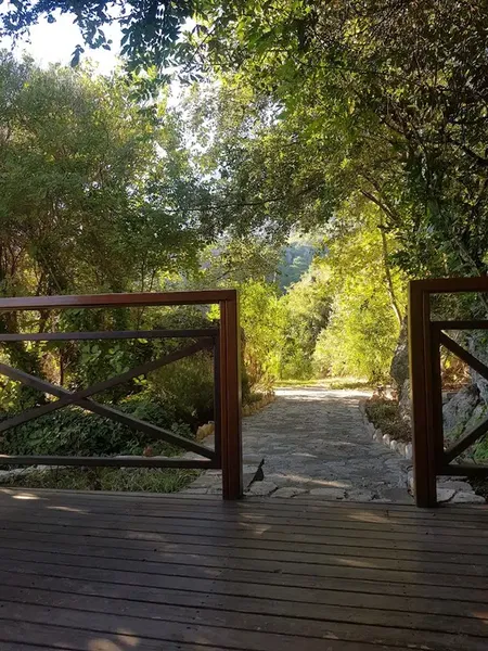 Forest Lodge - Photo 4