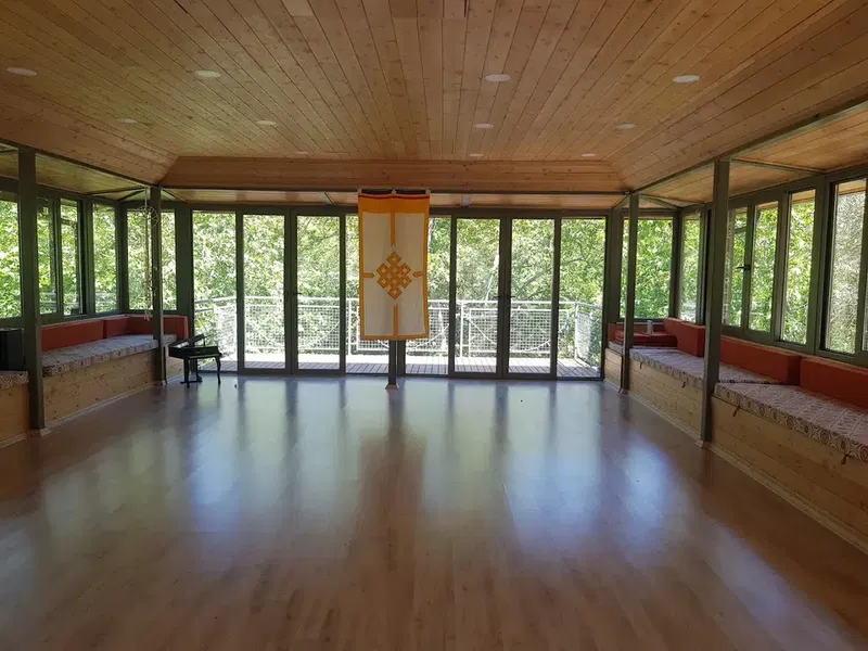 Forest Lodge - Photo 7