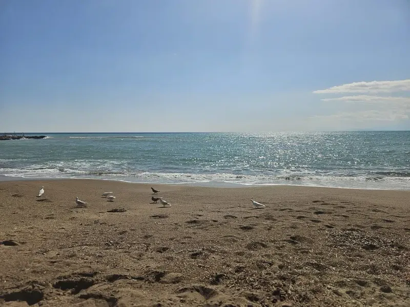 Fosforlu Beach - Photo 7