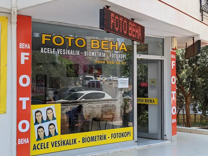 Foto Beha - Photo 2