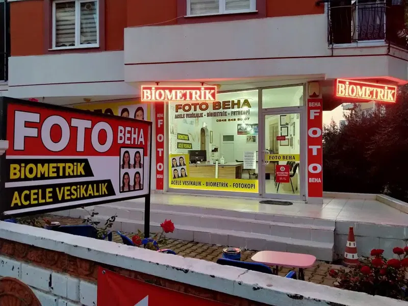 Foto Beha - Photo 5