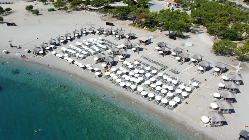 Fourest Büyük Çaltıcak - Photo 1