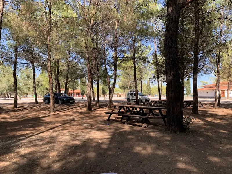 Fourest Büyük Çaltıcak - Photo 3