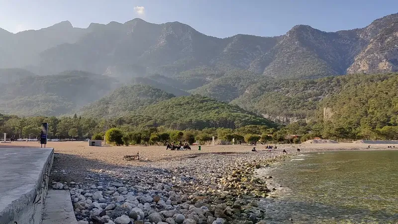 Fourest Büyük Çaltıcak - Photo 7
