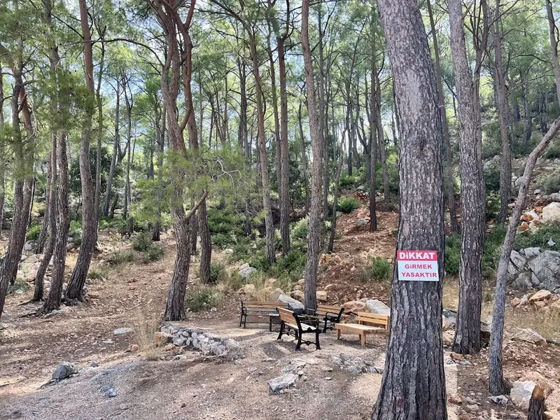 Fourest Büyük Çaltıcak - Photo 8