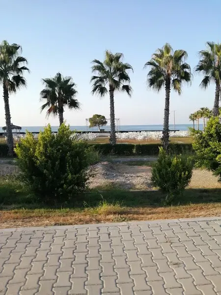 Futbol Sahası - Photo 4