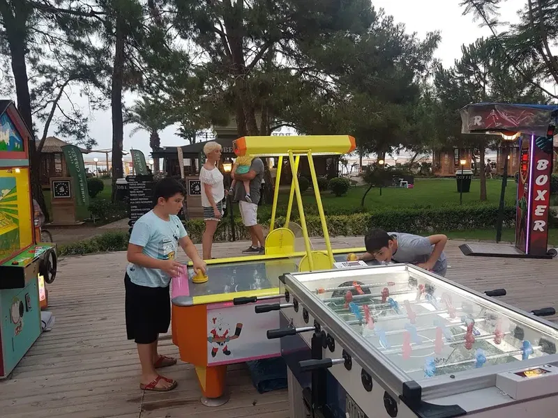 Game garden - Photo 3